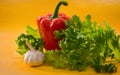 Vegetables - red bell pepper, paprika, garlic, lettuce Royalty Free Stock Photo